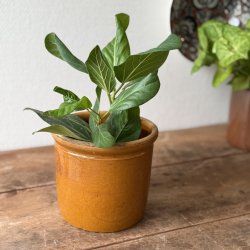 Fransk syltekrukke - 16