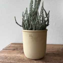 Fransk syltekrukke - 15,5