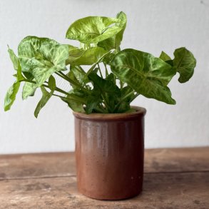 Fransk syltekrukke - 14