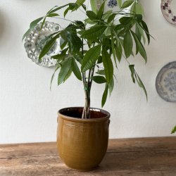 Fransk syltekrukke - 23,5