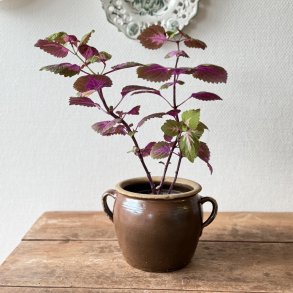 Fransk syltekrukke - 16