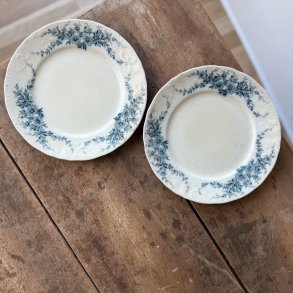 Engelsk Fajance Daisy Tallerken -  22,5