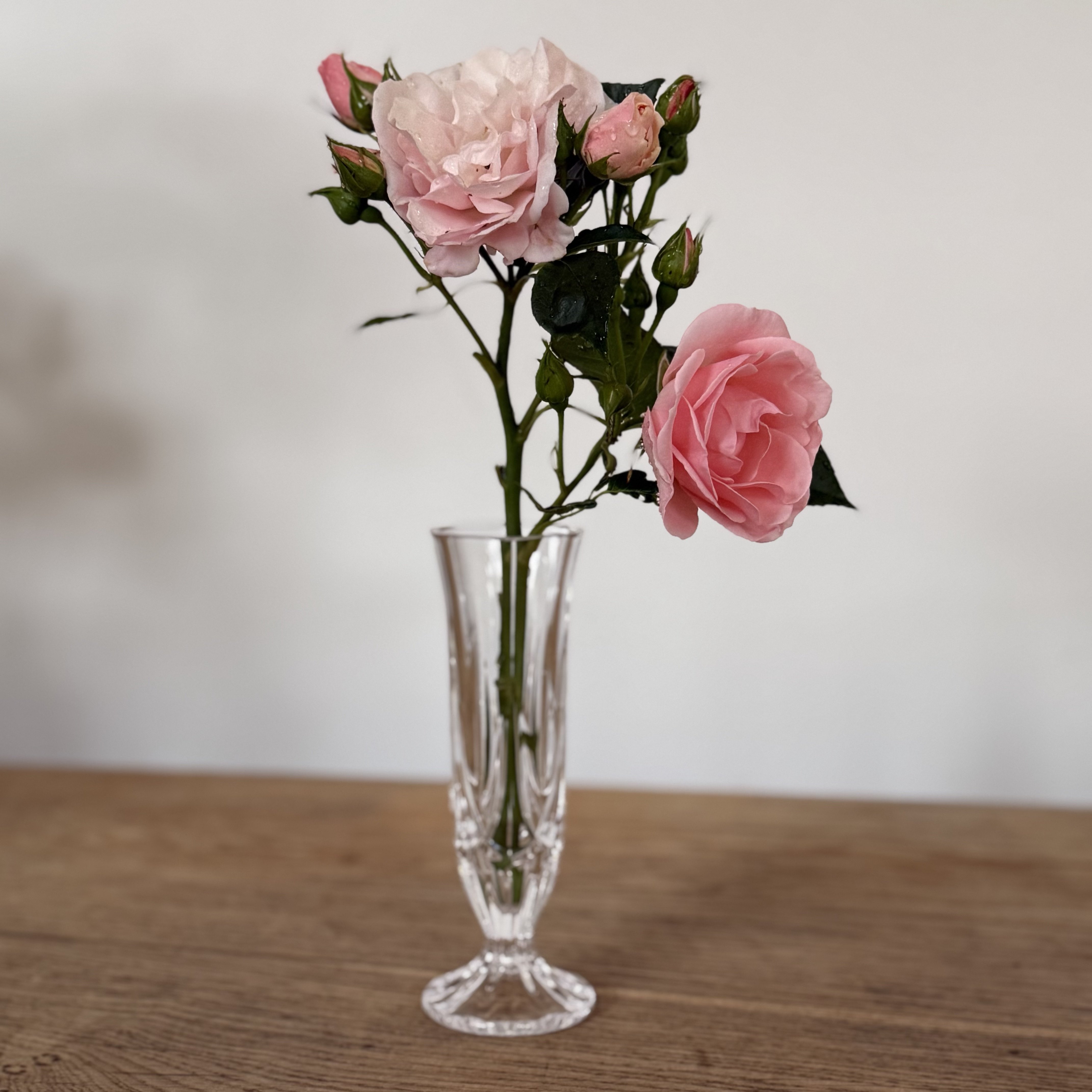 vase p fod - 