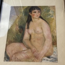 Auguste Renoirs Motiv Af Kvinde
